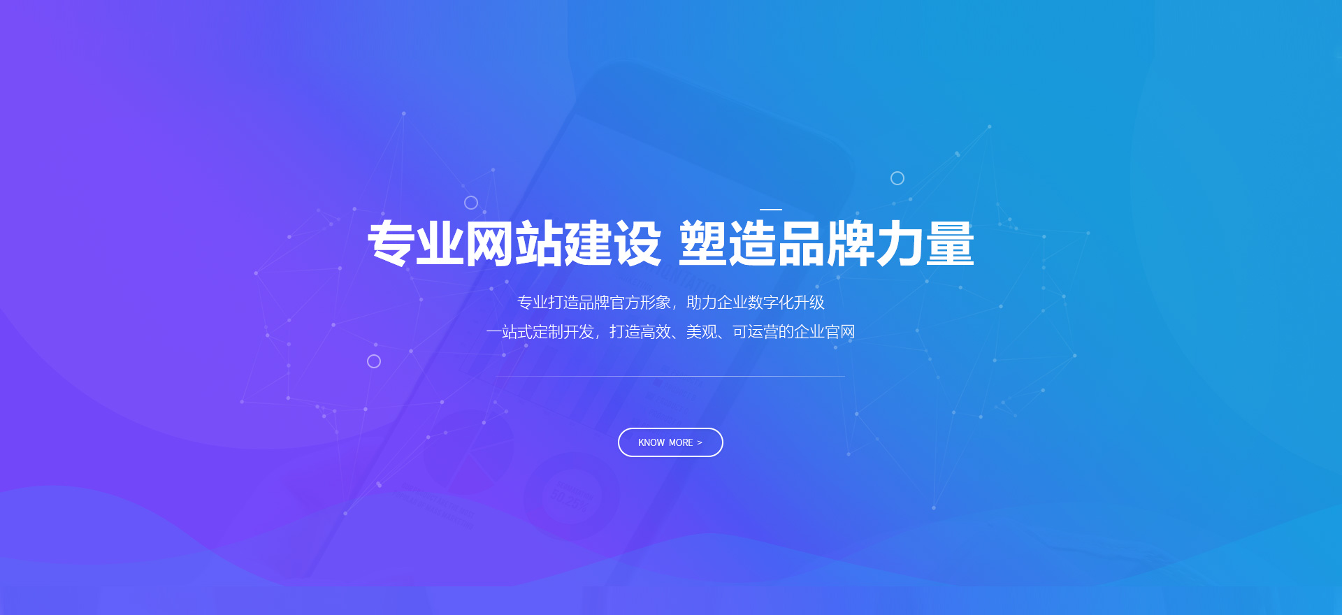 昭通建站-专业网站建设 塑造品牌力量