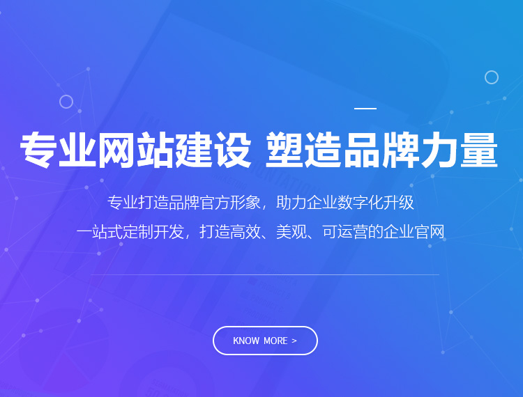 昭通建站-专业网站建设 塑造品牌力量